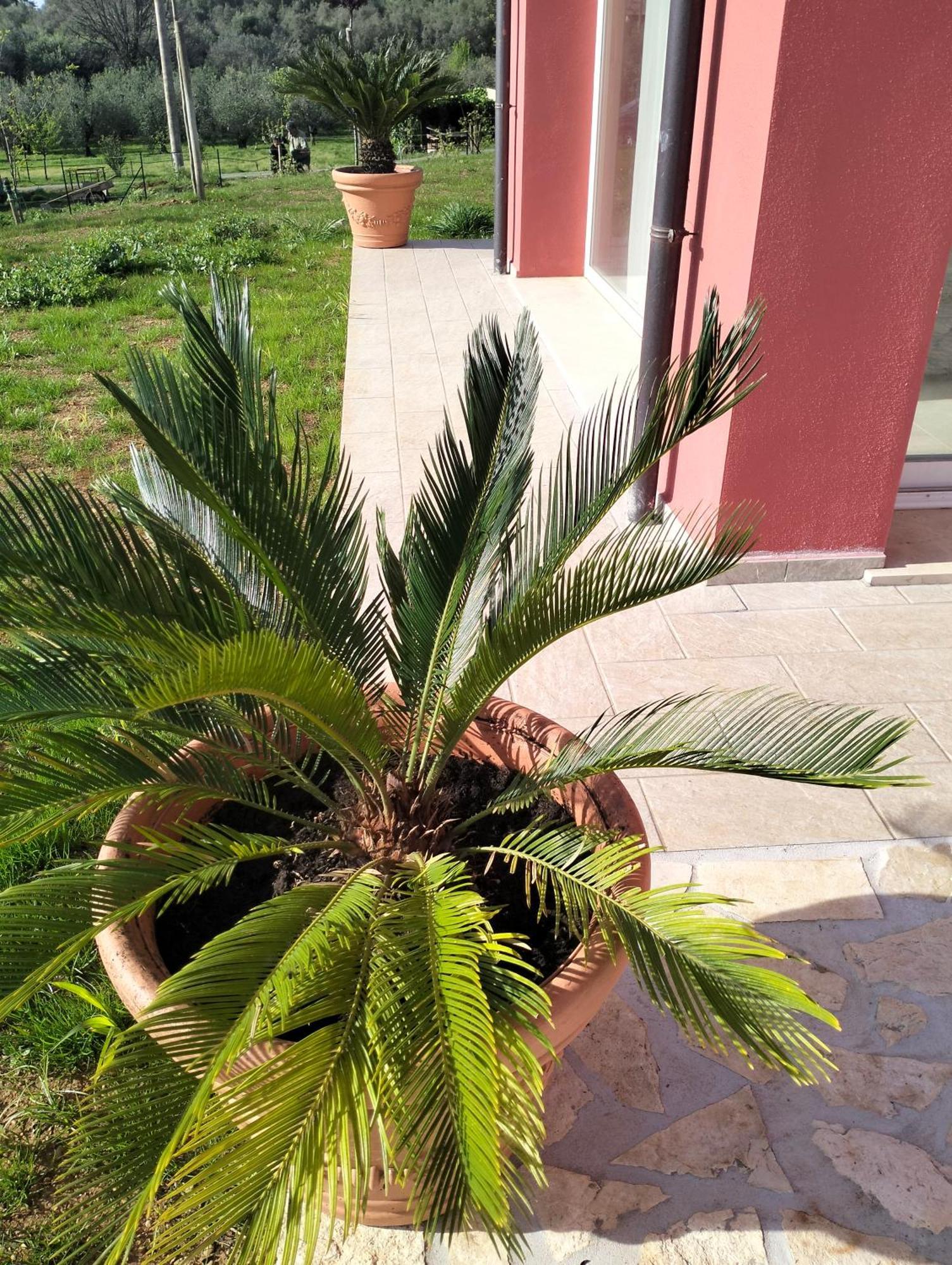 Villetta Fedora Immersa Nel Verde Cecina  Luaran gambar